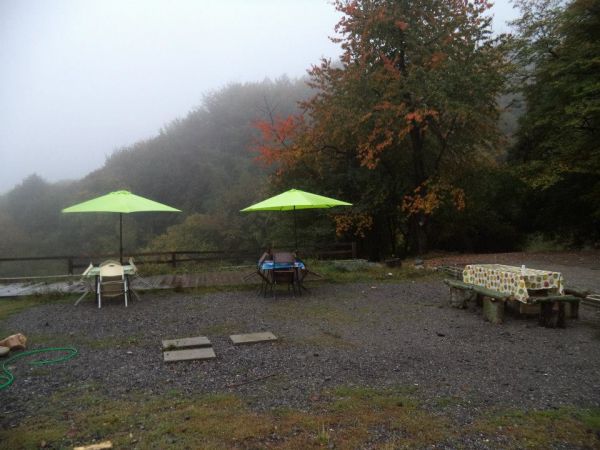 14236.jpg