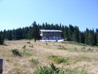 2008.jpg