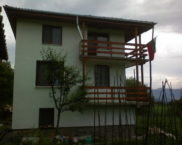 7442.jpg
