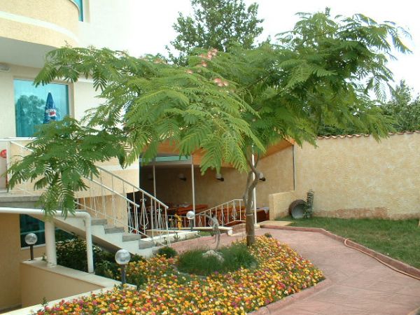 8771.jpg