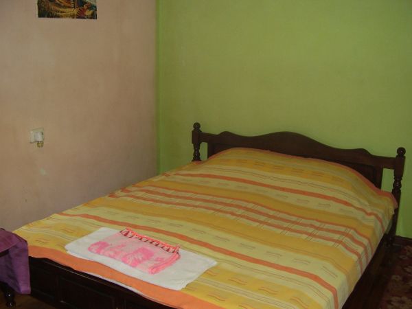 8916.jpg