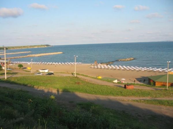 897.jpg