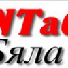Бяла рент а кар