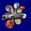 Дреников рент а кар