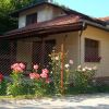 Вила Алпина