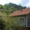 Вила Кольо Фичето