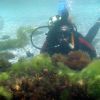 Водолазен клуб Z-DIVING - Лозенец